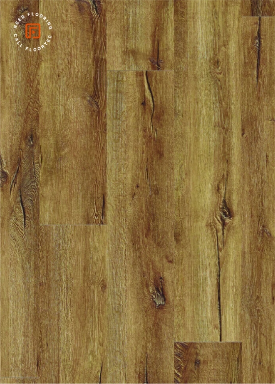 MODULEO MOUNTAIN OAK 56440